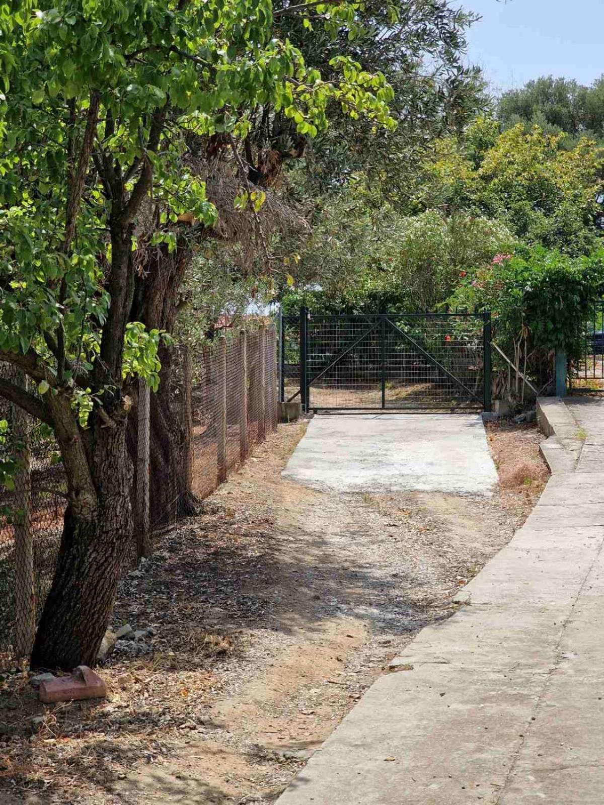 Villa Stella'S Garden PalaiónTsiflíkion Esterno foto